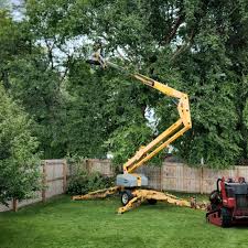 Best Hazardous Tree Removal  in Hamilton Square, NJ